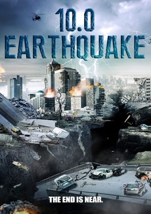 10.0 Earthquake 2014 Hindi Dual Audio [800MB] Movie Poster