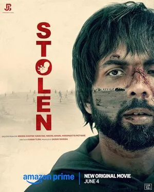 Stolen 2025 Hindi Movie Poster