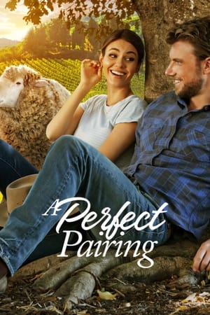 A Perfect Pairing (2022) Hindi Dual Audio – Movie Poster