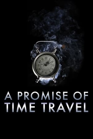 A Promise of Time Travel 2016 Hindi Dual Audio [750MB] Movie Poster