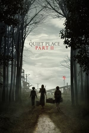 A Quiet Place Part II (2021) Hindi Dual Audio [1.1GB] Movie Poster