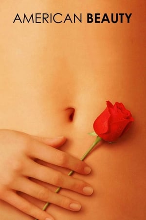 American Beauty 1999 Hindi Dual Audio Movie Poster