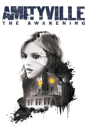 Amityville: The Awakening (2017) Hindi Dual Audio [800MB] Movie Poster