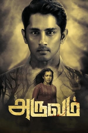 Aruvam (2019) (Hindi -Tamil) Dual Audio [1.4GB] Movie Poster