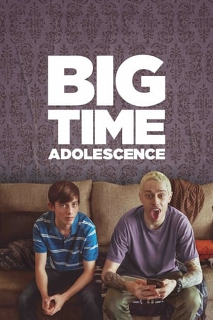 Big Time Adolescence (2019) Hindi Dual Audio – Movie Poster