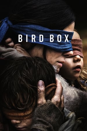 Bird Box 2018 Hindi (HQ DUBBED) Dual Audio 380MB Movie Poster