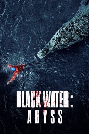 Black Water: Abyss (2020) Hindi Dual Audio [950MB] Movie Poster
