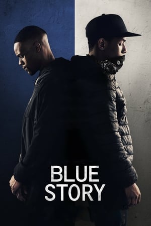 Blue Story (2019) Hindi Dual Audio – Movie Poster