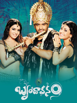 Brindavanam (The Super Khiladi) (2010) (Hindi – Telugu) Dual Audio 600MB Movie Poster