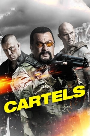 Cartels 2017 Hindi Dual Audio [900MB] Movie Poster