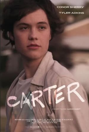 Carter (2022) Hindi Dual Audio – Movie Poster