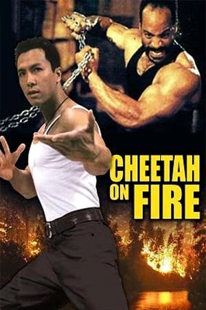 Cheetah on Fire 1992 Hindi Dual Audio [900MB] Movie Poster
