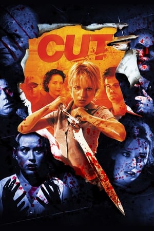 Cut (2000) Hindi Dual Audio 300MB Movie Poster