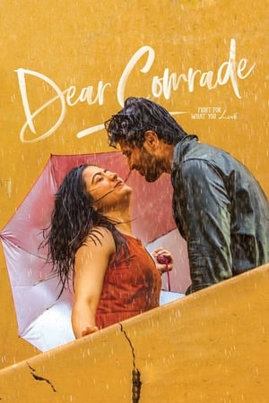 Dear Comrade 2019 (Hindi - Telugu) Dual Audio 450MB Movie Poster