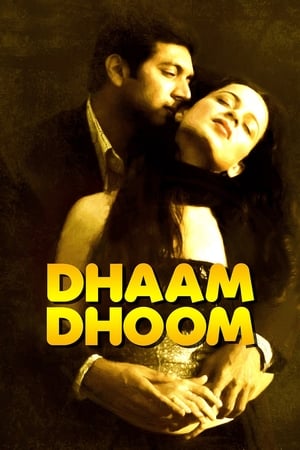 Dhaam Dhoom 2008 Dual Audio [Hindi - Tamil] 430MB Download