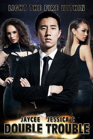 Double Trouble (2012) Hindi Dual Audio 400MB Movie Poster
