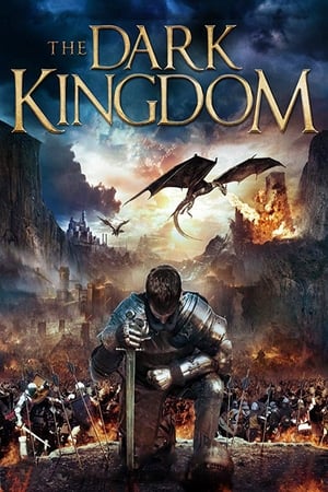 Dragon Kingdom (2018) Hindi Dual Audio [850MB] Movie Poster