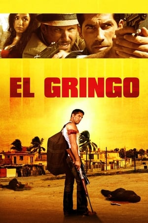 El Gringo (2012) Hindi Dual Audio [900MB] Movie Poster