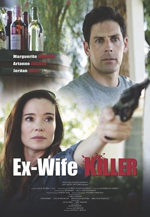 Ex-Wife Killer (2017) Hindi Dual Audio 300MB Movie Poster