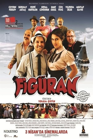Figuran (2015) Hindi Dual Audio [950MB] Movie Poster