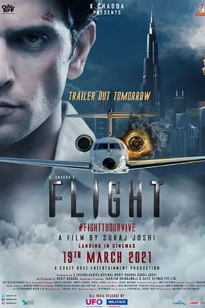 Flight 2021 Hindi Movie [860MB] Movie Poster