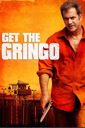 Get the Gringo (2012) Hindi Dual Audio 300MB Movie Poster