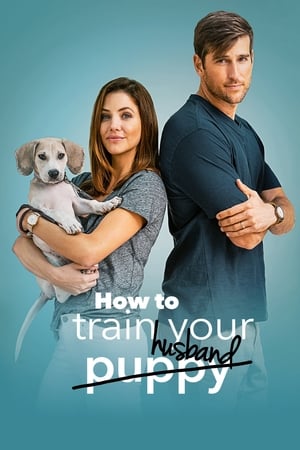 How to Train Your Husband 2018 Hindi Dual Audio [1GB] Movie Poster