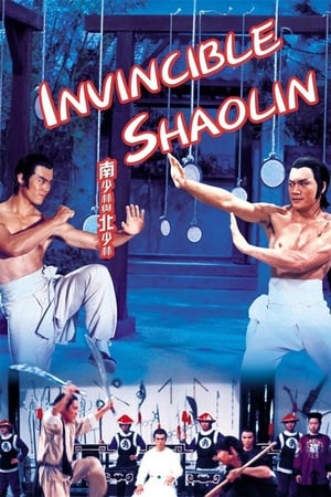 Invincible Shaolin 1978 Hindi Dual Audio [1.3GB] Movie Poster