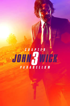 John Wick: Chapter 3 – Parabellum (2019) Hindi (ORG) Dual Audio [1.2GB] Movie Poster