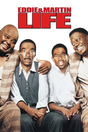 Life (1999) Hindi Dual Audio 350MB Movie Poster