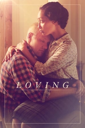 Loving (2016) Hindi Dual Audio 420MB Movie Poster