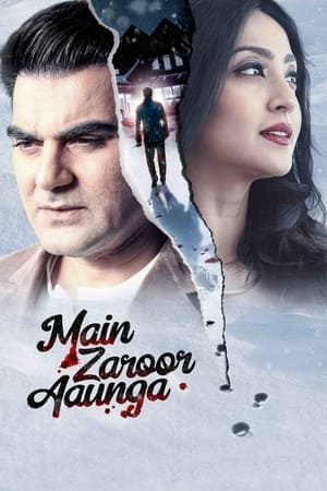 Main Zaroor Aaunga 2019 Hindi Movie [670MB] Movie Poster