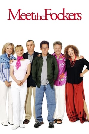 Meet the Fockers (2004) Hindi Dual Audio 380MB Movie Poster