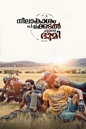 Neelakasham Pachakadal Chuvanna Bhoomi (2013) Hindi Dubbed [1.4GB] Movie Poster