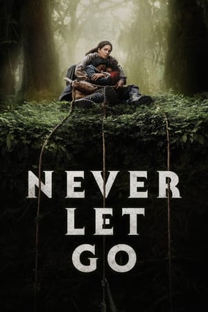 Never Let Go 2024 Hindi Dual Audio – 720p – 480p