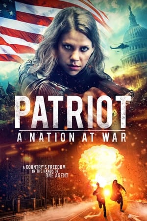 Patriot A Nation at War 2020 Hindi Dual Audio [930MB] Movie Poster