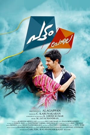 Pattam Pole (2013) (Hindi – Malayalam) Dual Audio [1.2GB] Movie Poster