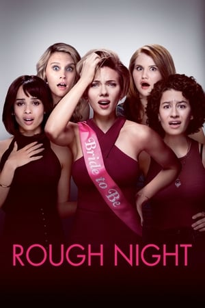 Rough Night (2017) Hindi Dual Audio 400MB Movie Poster