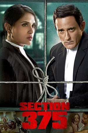 Section 375 (2019) Hindi Movie - [360MB] Movie Poster