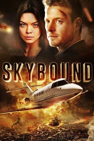 Skybound (2017) Hindi Dual Audio [1.2GB] Movie Poster