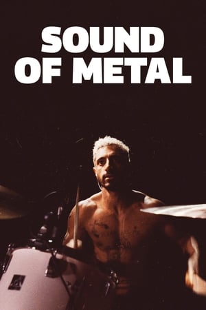 Sound of Metal (2019) Hindi Dual Audio – Movie Poster
