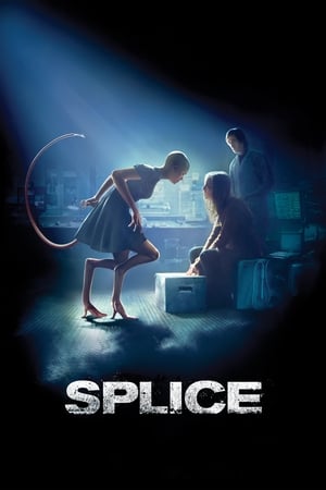 Splice 2009 Hindi Dual Audio 330MB Movie Poster