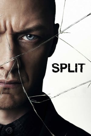 Split (2016) Hindi Dual Audio [1GB] Movie Poster