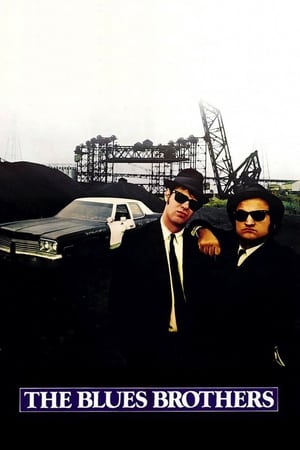 The Blues Brothers (1980) Hindi Dual Audio 450MB ESubs Movie Poster