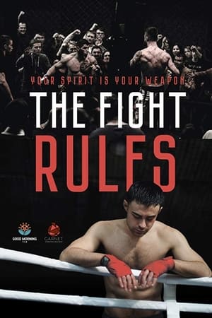 The Fight Rules 2017 Hindi Dual Audio [730MB] Movie Poster