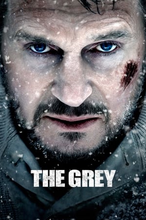 The Grey 2011 Hindi Dual Audio 360MB Movie Poster