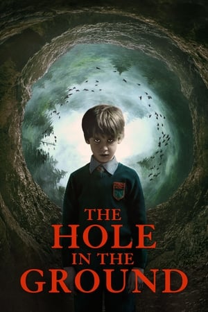 The Hole in the Ground 2019 Hindi Dual Audio [830MB] Movie Poster