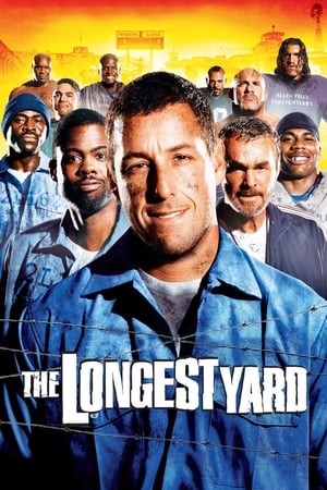 The Longest Yard (2005) Hindi Dual Audio 350MB Movie Poster