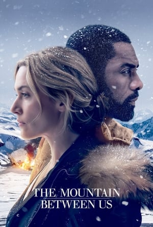 The Mountain Between Us 2017 Dual Audio Hindi 350MB Movie Poster