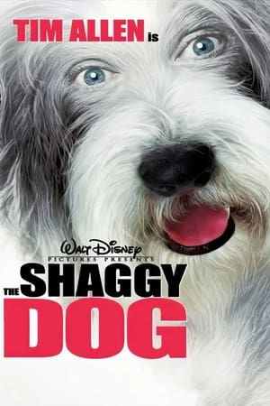 The Shaggy Dog (2006) Hindi Dual Audio 300MB Movie Poster